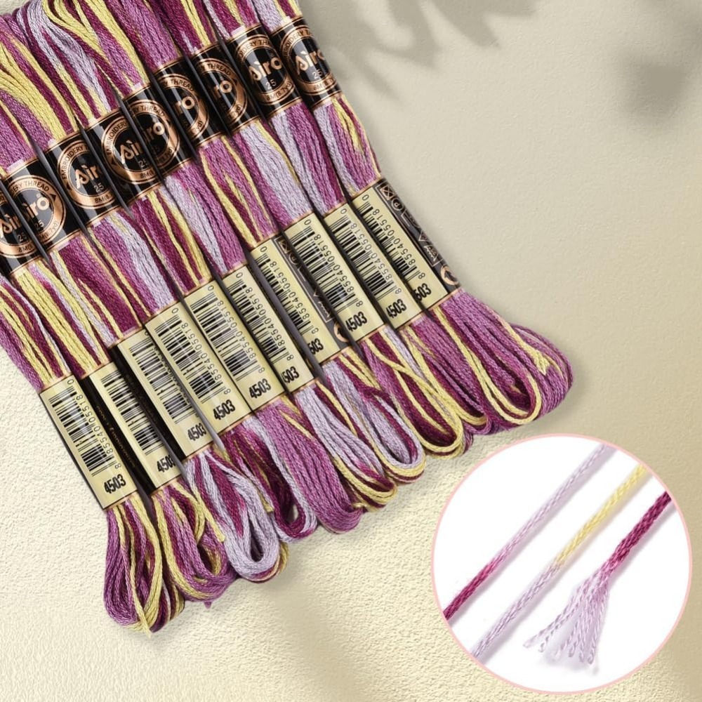 6 Strands สีม่วง Variegated เย - Embroidery Thread บทวิจารณ์และราคา