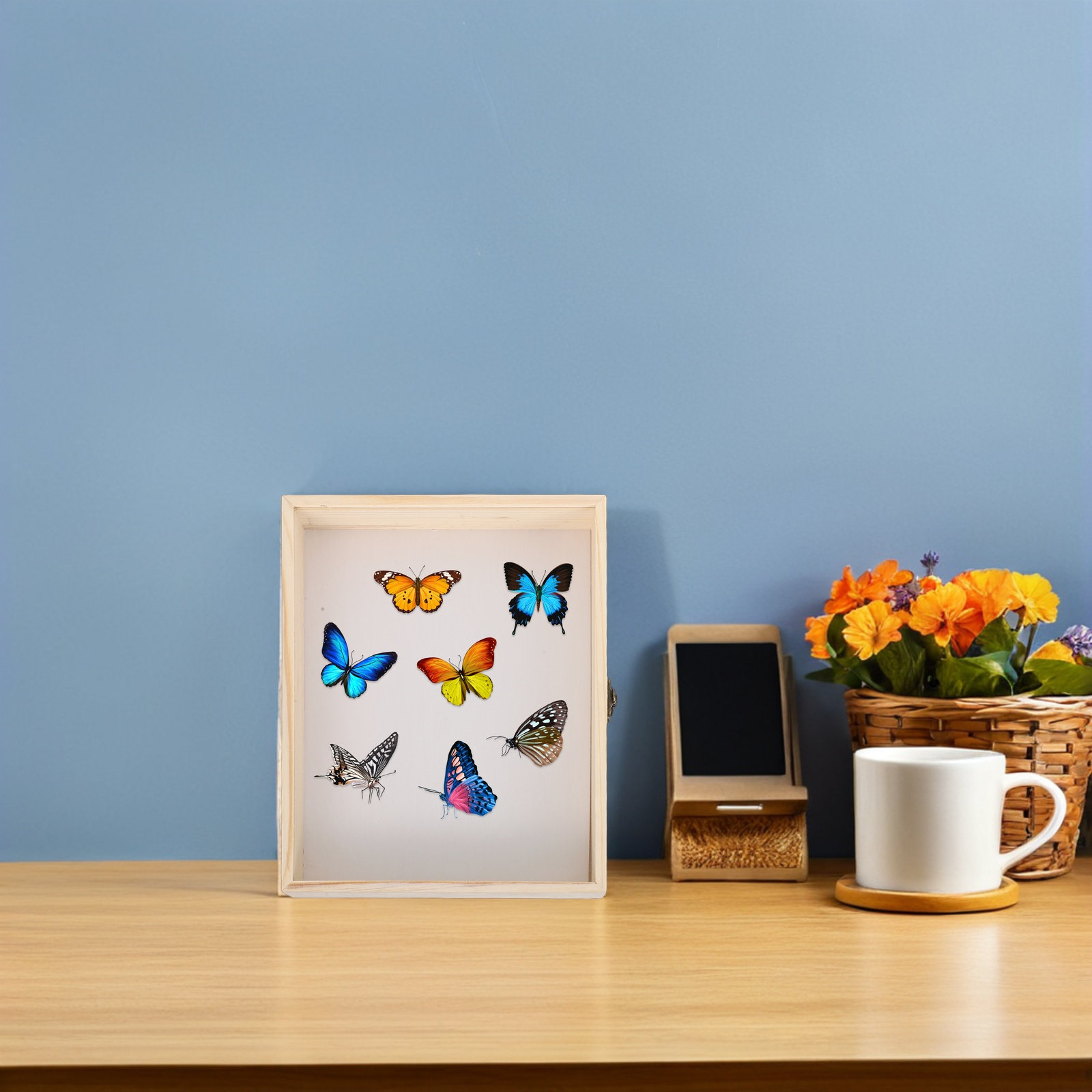 กล่องโชว์ตัวอย่างแมลงไม้เนื้อแ - Frame Display Wood บทวิจารณ์และราคา