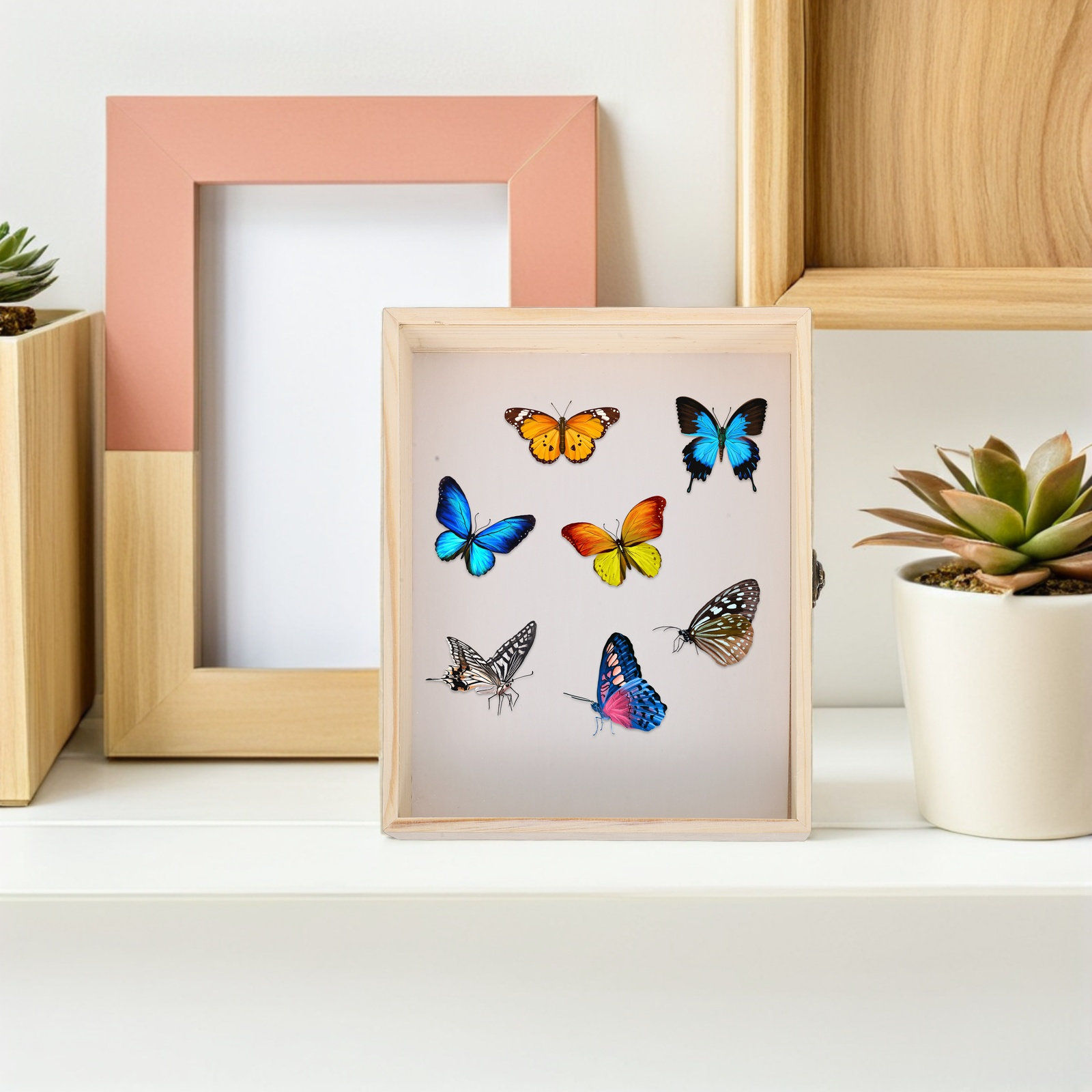 กล่องโชว์ตัวอย่างแมลงไม้เนื้อแ - Frame Display Wood บทวิจารณ์และราคา